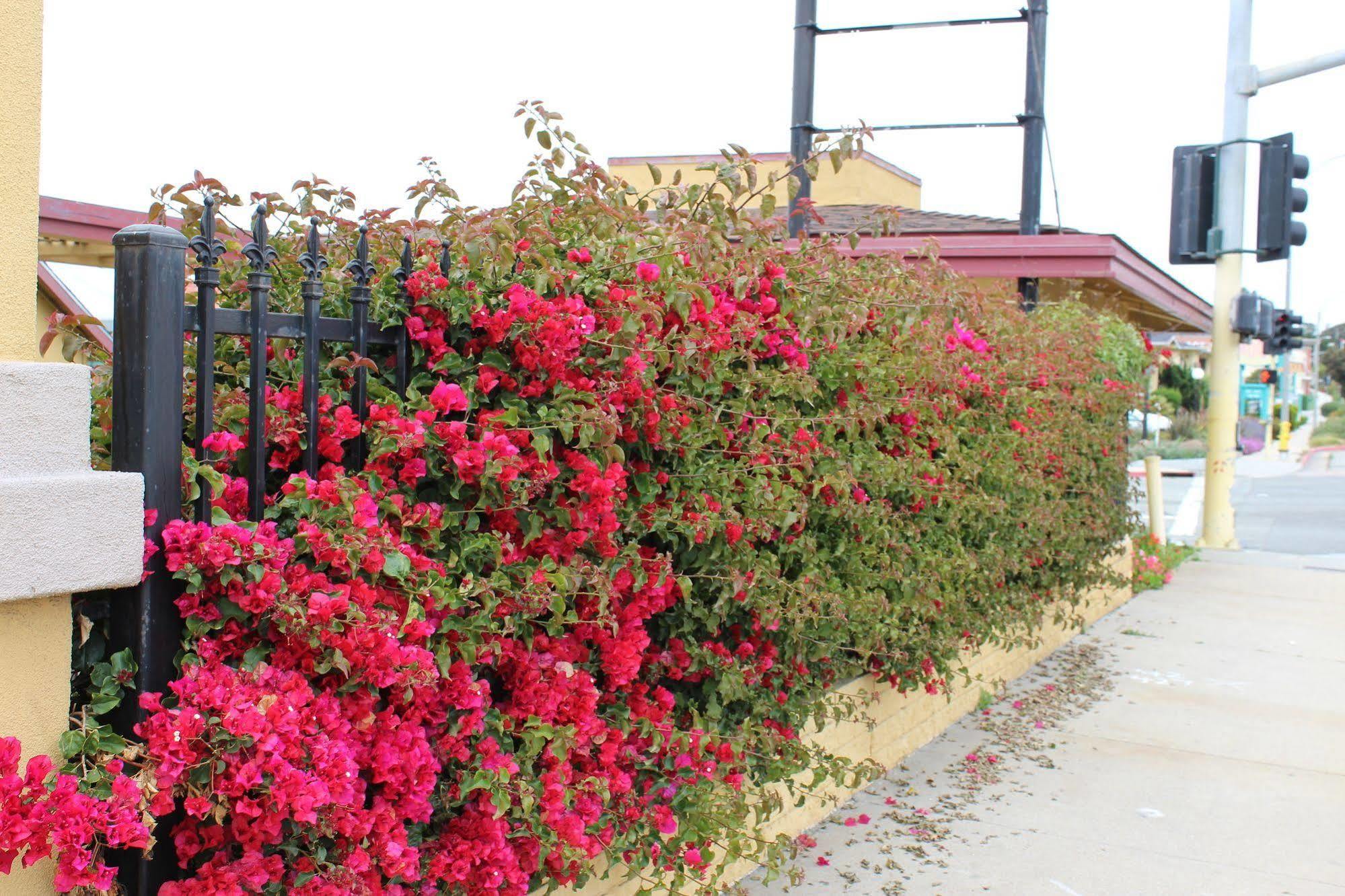 Surestay Hotel By Best Western Seaside Monterey Exterior photo